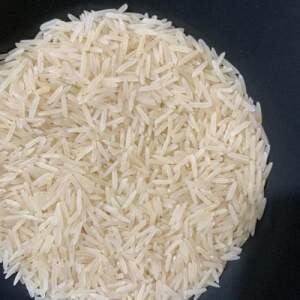 Basmati 1509