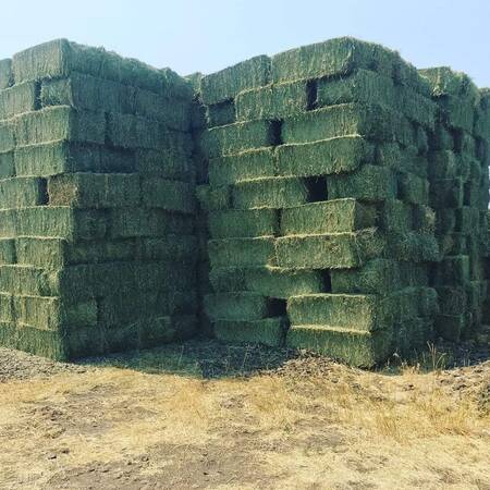 WhatsApp Image 2024-01-25 at 23.35.46