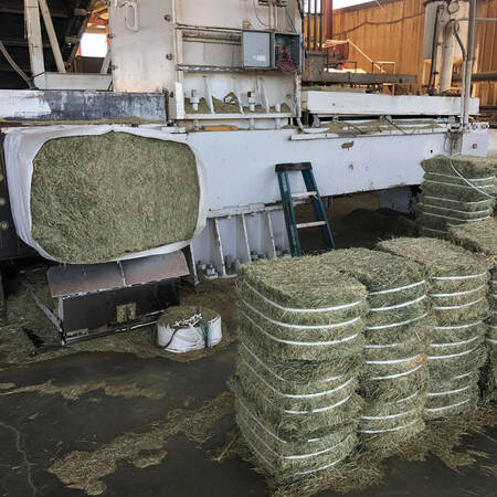 WhatsApp Image 2024-01-26 at 15.02.29 (1)