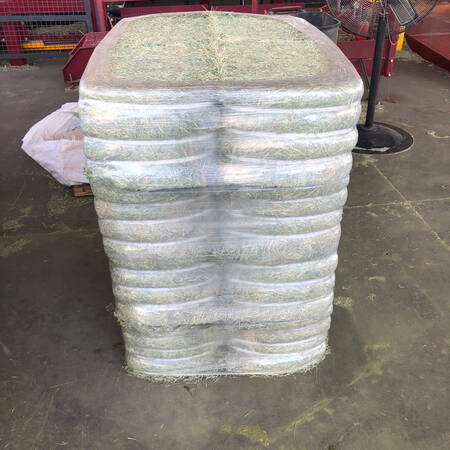 WhatsApp Image 2024-01-26 at 15.02.29