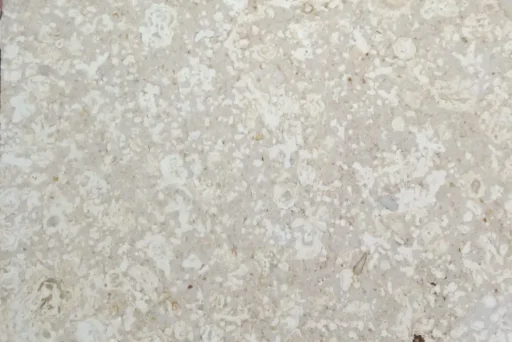 Bubble-beige-limestone-copy-scaled