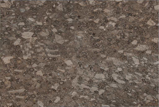 Fossil-gray-marble