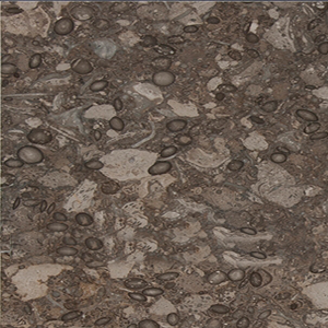 Fossil-gray-marble